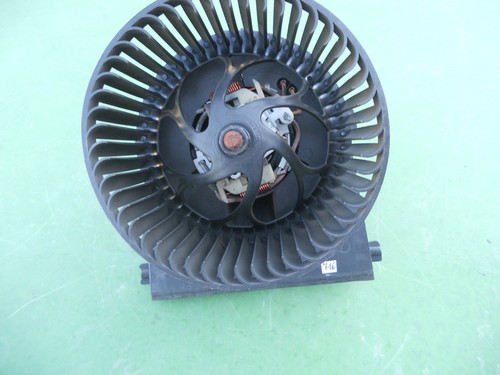 Polo variant - 6n,